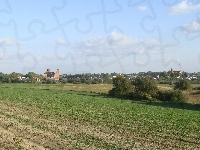 Pola, Radzyń Chełmiński, Krajobraz, Łąki, Miasto
