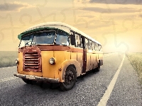 Pola, Droga, Autobus
