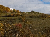 Łąki, Jesień, Pola, Drzewa