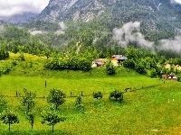 Pola, Mgła, Góry, Lasy, Domy