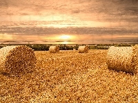 Pola, Żniwa, Zachód, Słońca, Słoma