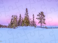Śnieg, Zima, Drzewa, Polana