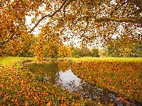 Park, Polana, Staw, Jesień, Drzewa