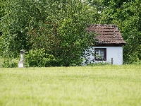 Pole, Drzewa, Dom