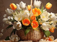 Kwiaty, Pomarańczowe, Białe, Koszyk, Tulipany