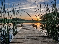 Pomost, Zachód Słońca, Jezioro, Rosliny
