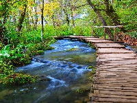 Chorwacja, Las, Park Narodowy Jezior Plitwickich, Rzeka, Pomost