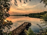 Pomost, Drzewa, Słońca, Jezioro, Roślinność, Wschód