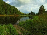 Pomost, Trawy, Las, Rzeka, Krzewy