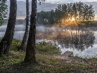 Brzozy, Wschód słońca, Drzewa, Trawa, Mgła, Rzeka, Pomost