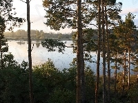 Poranek, Las, Jezioro, Mgła
