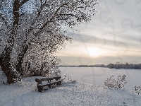 Brzeg, Zima, Rzeka, Poranek, Drzewo, Śnieg, Ławka