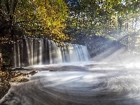 Las, Poranek, Walia, Park Narodowy Brecon Beacons, Wodospad