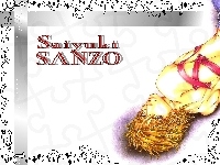 postać, Saiyuki, opaska, sanzo