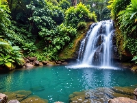 Las, Potok, Wodospad, Rośliny, Kamienie