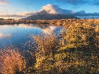 Chmury, Odbicie, Trawa, Góra, Taranaki, Staw Pouakai, Nowa Zelandia, Park Narodowy Egmont