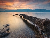Powalone, Jezioro Maggiore, Drzewo