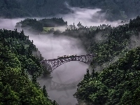 Prefektura Niigata, Prefektura Fukushima, Pociąg, Lasy, Mgła, Rzeka Tadami, Japonia, Most Tadami River Bridge, Drzewa
