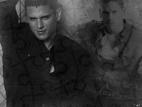 Prison, Wentworth Miller, Break