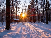 Promienie słońca, AI, Dom, Śnieg, Ścieżka, Drzewa, Zima, Las