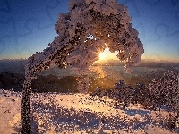 Drzewa, Promienie słońca, Zima, Wzgórze, Zachód słońca