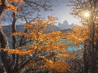 Promienie słońca, Jezioro, Drzewa, Patagonia, Góra, Jesień, Argentyna, Fitz Roy