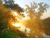 Promienie, Drzewa, Rzeka, Mgła, Słońca