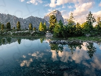 Prowincja Belluno, Włochy, Odbicie, Dolomity, Jezioro, Drzewa, Góry, Lago Limides