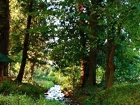 Przebijające, Las, Rzeczka, Światło