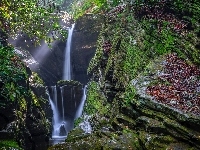 Stan Karolina Północna, Las, Przebijające światło, Skały, Stany Zjednoczone, Wodospad Duggers Creek Falls, Gałęzie