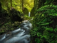 Rezerwat przyrody Columbia River Gorge, Stan Oregon, Las, Omszałe, Skały, Wodospad Mossy Grotto Falls, Stany Zjednoczone, Rzeka Ruckel Creek, Kamienie