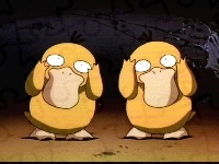 Psyduck, Para