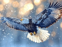 Fruwający, Bielik amerykański, Ptak, Skrzydła, Rozpostarte