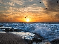 Ptaki, Chmury, Morze, Fale, Wschód słońca