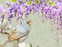 Ptaszek, Wisteria
