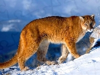 Puma, Góry