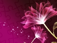 Kwiat, Purpurowy, 2D