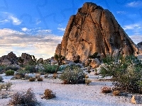 Park Narodowy Joshua Tree, Skała, Stany Zjednoczone, Kalifornia, Pustynia