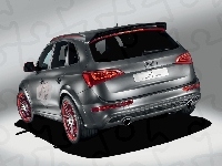 Audi Q5, Prototyp