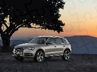 Audi Q5 SUV