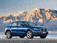 Audi Q5, SUV