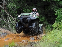 Potok, Quad ATV, Droga, Las