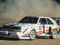 Audi Quattro, Rajd