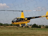 Robinson R44, Wirnik