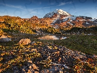 Startowulkan Mount Rainier, Stan Waszyngton, Drzewa, Stany Zjednoczone, Góry Kaskadowe, Kamienie