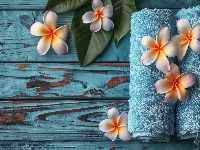 Deski, Plumeria, Kwiat, Ręczniki, Kompozycja, Drewno
