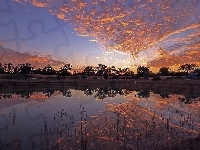 Region Riverland, Stan Australia Południowa, Drzewa, Chmury, Niebo, Rzeka, Australia, Zachód słońca, Odbicie
