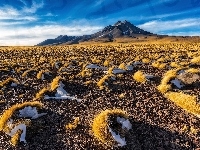 Pustynia Atakama, Kamienie, Kępki, Region Antofagasta, Góra, Chile, Gmina San Pedro de Atacama, Trawa