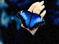 Niebieski, Ręka, Motyl