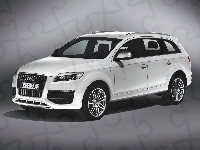 Relingi, Audi Q7, Dachowe